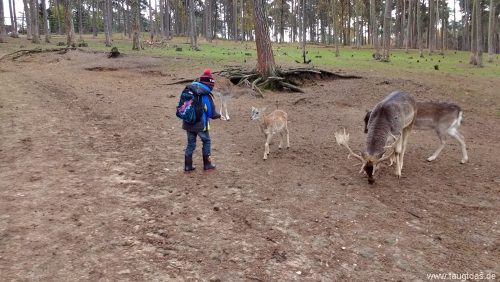 Wildpark Granat