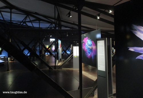 Ausstellung