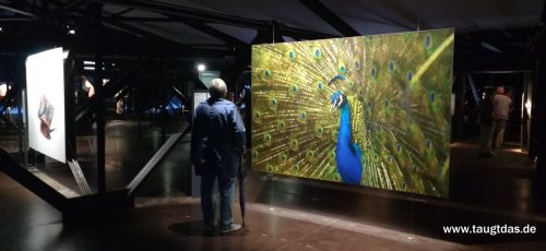 Ausstellung Oberhausen