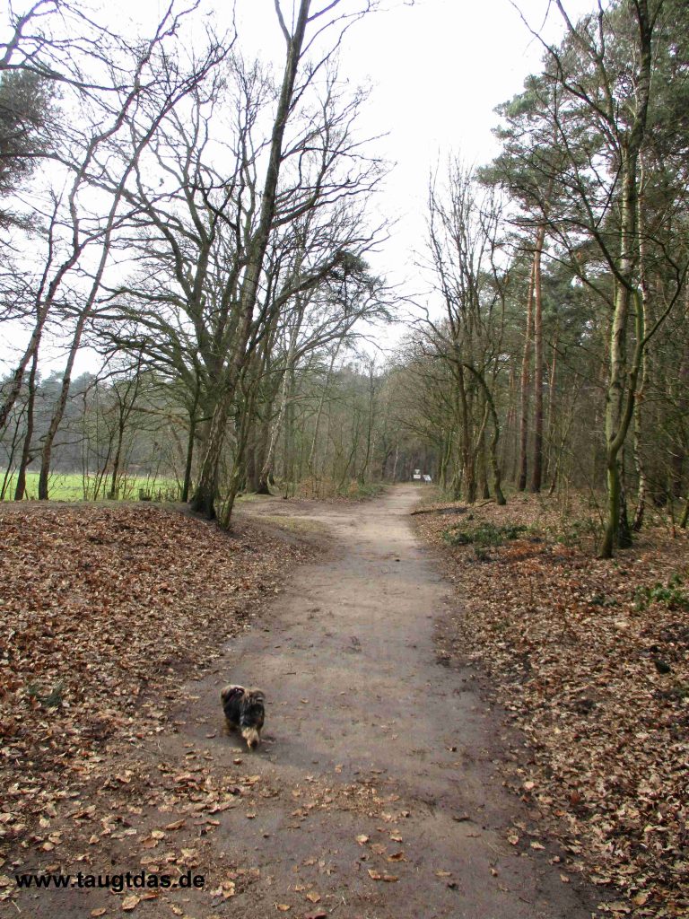 Spaziergang
