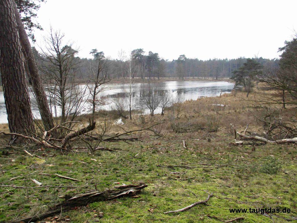 Schwarzes Wasser