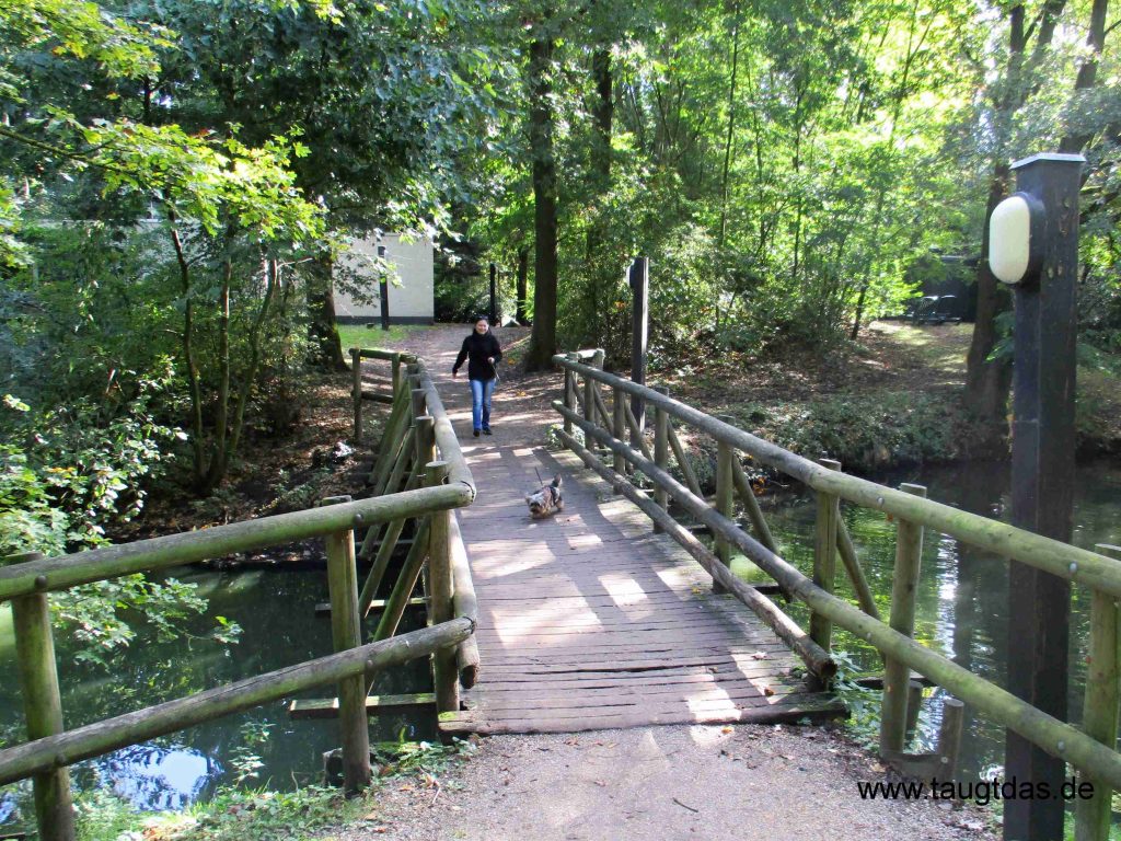 Waldspaziergang