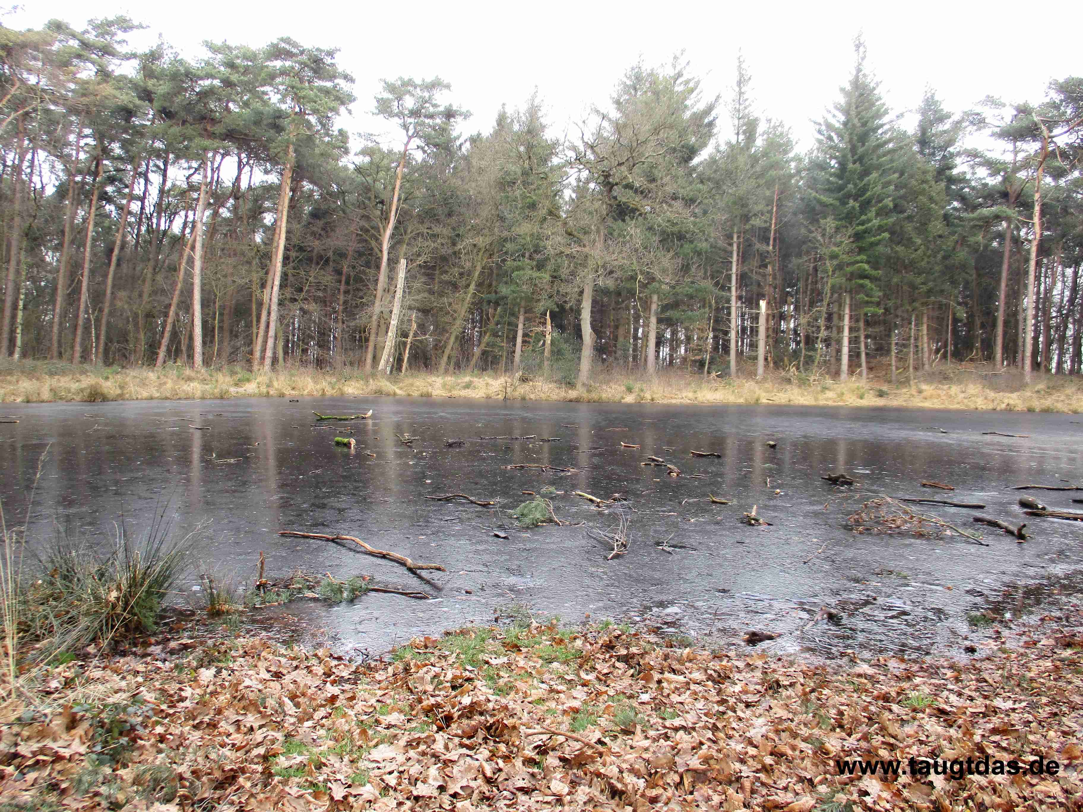 Heideweiher