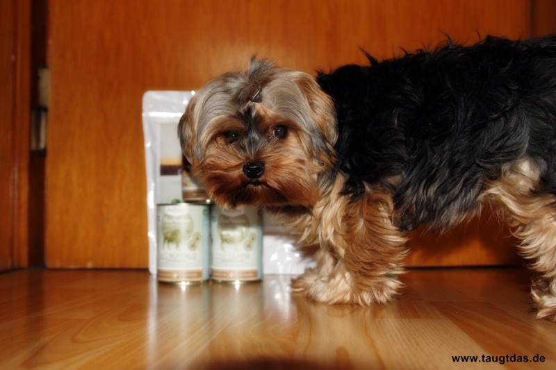 Hundefutter
