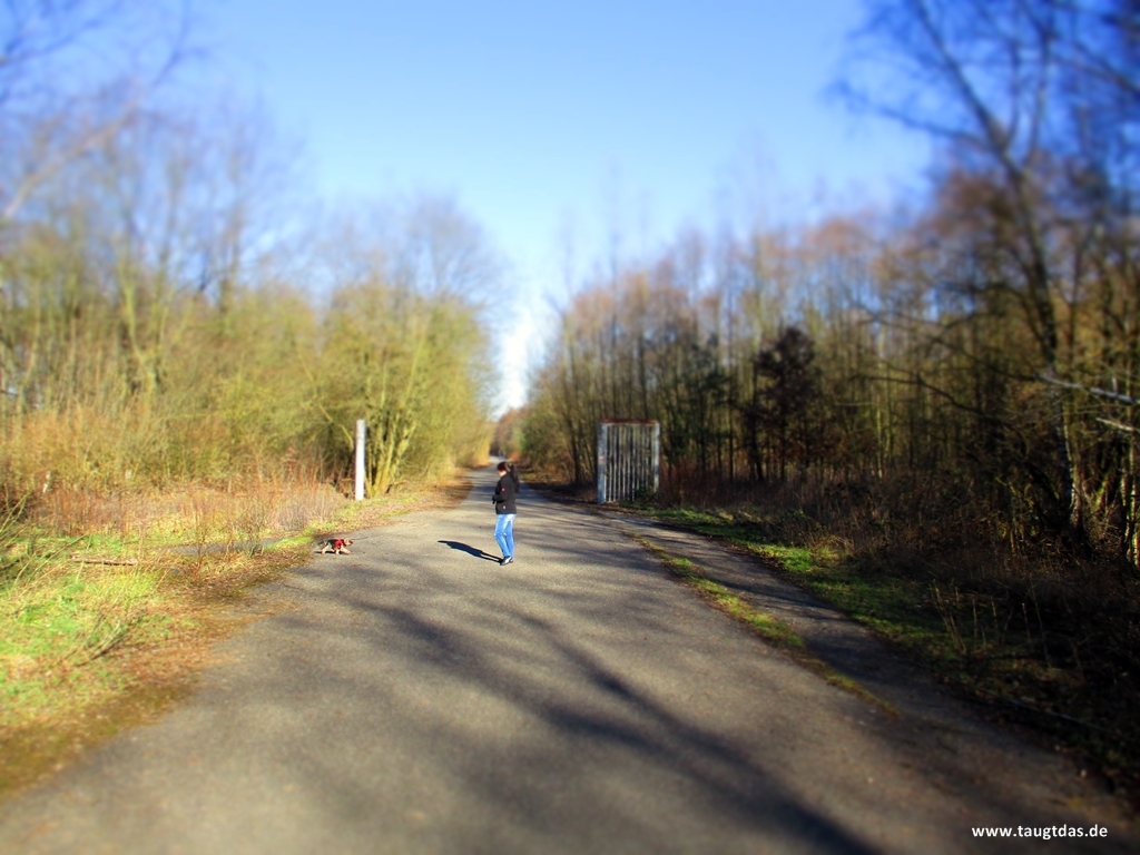 Schwarze Heide Hünxe
