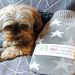 Bonnie liebt Wärmflaschen