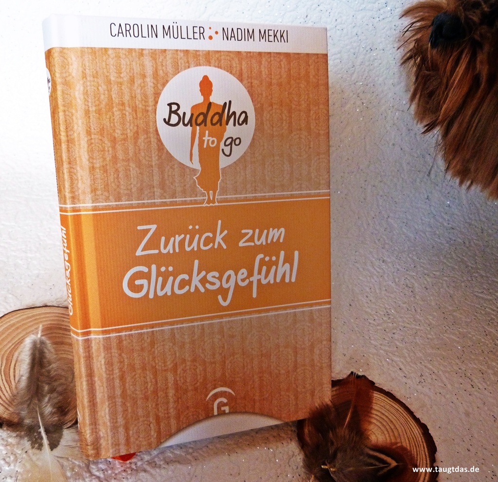 Zurück zum Glücksgefühl Cover