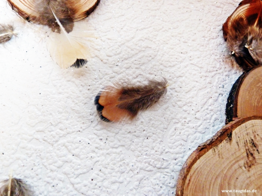 Braune federn und Holzscheiben