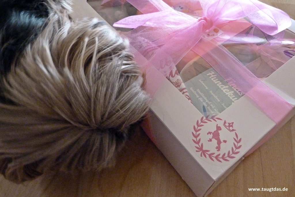 Geburtstagsbox für Hunde