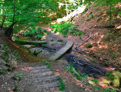 Elendsklamm