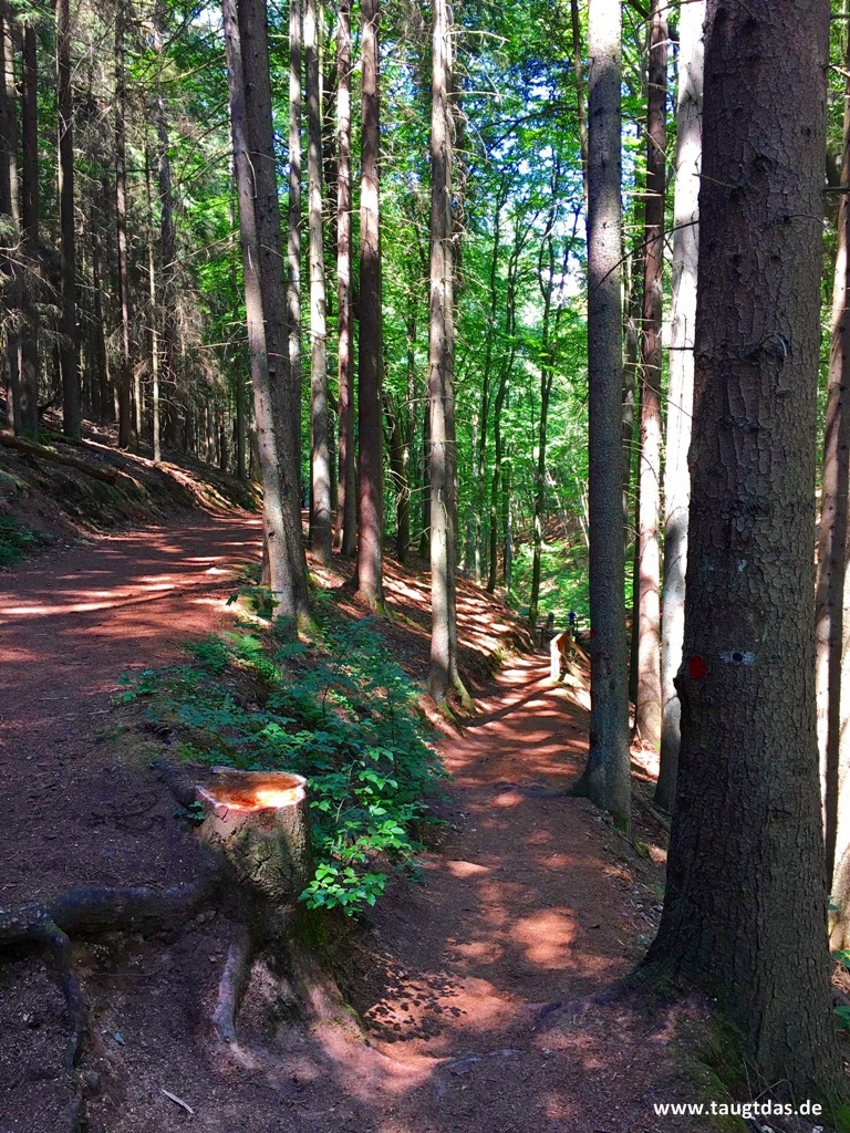 Prädikatswanderweg