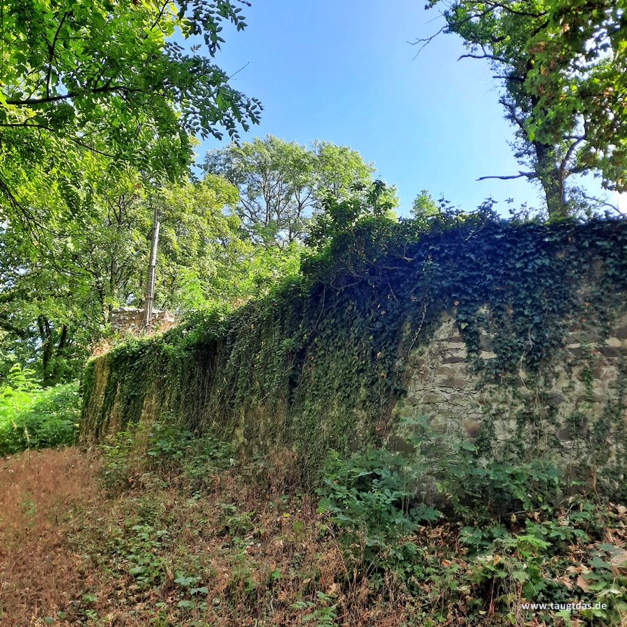 Burgruine Gladenbach