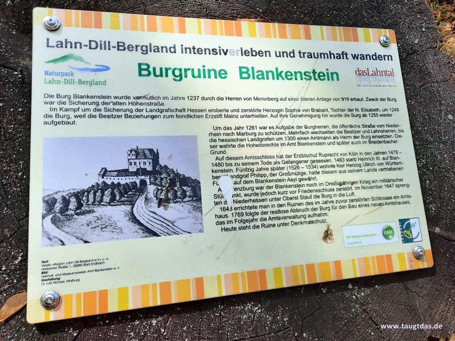 Infotafel Burgruine