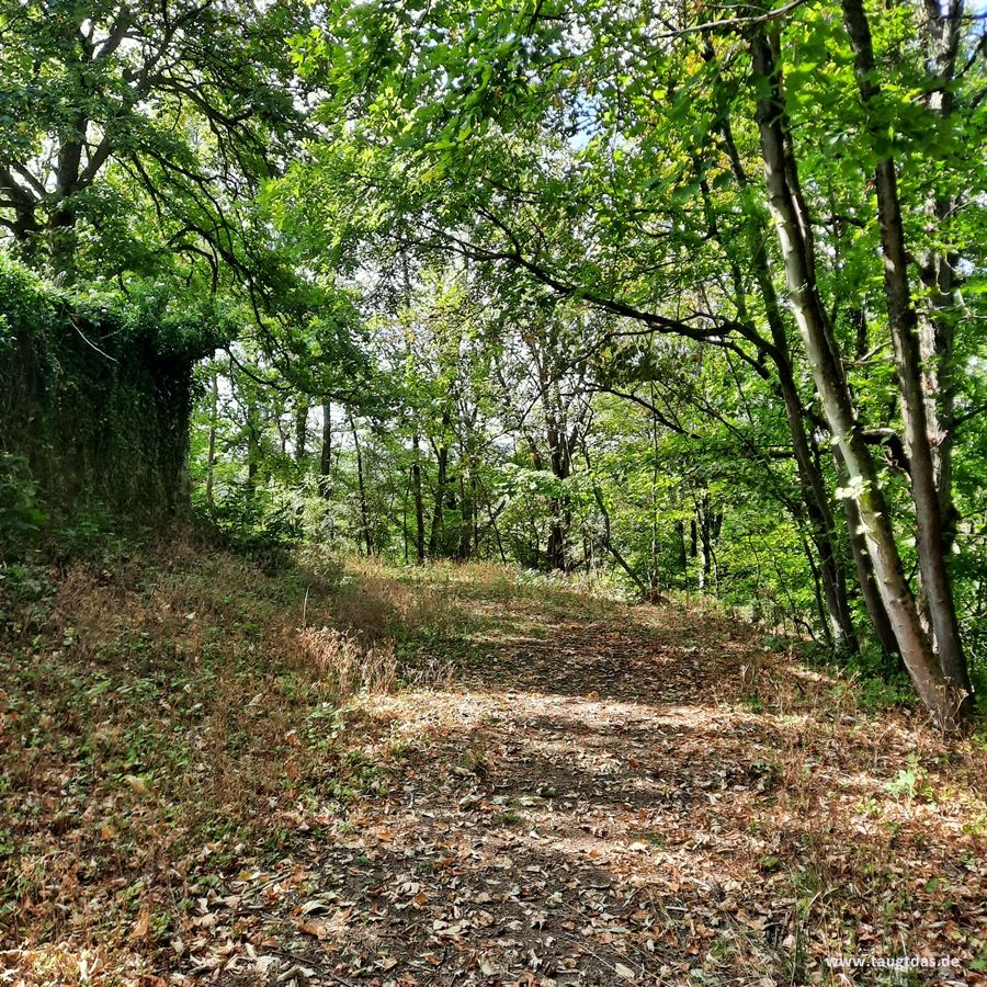 Weg Burgruine