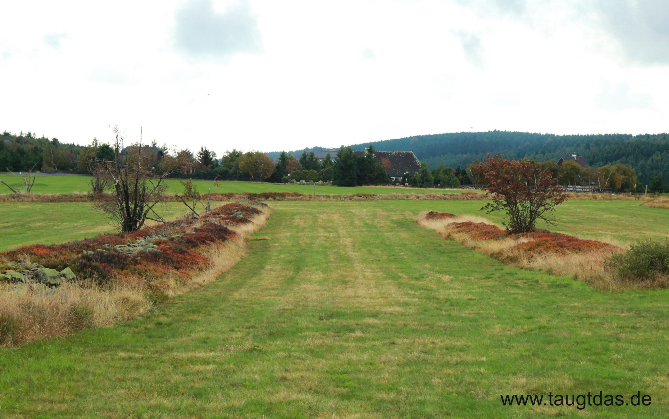 Hochmoor Altenberg