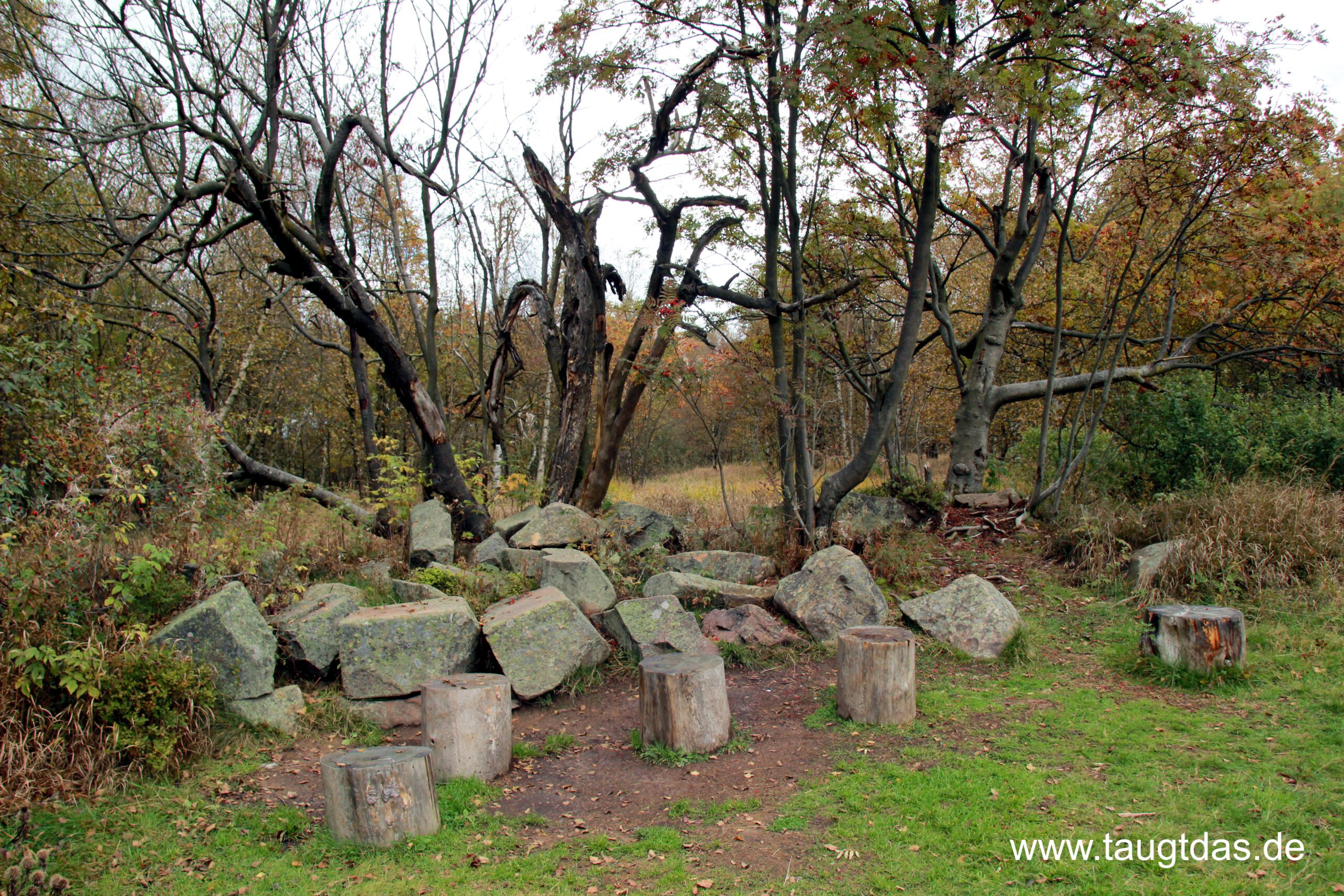Ende Weg durchs Hochmoor