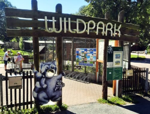 Wildpark Osterzgebirge