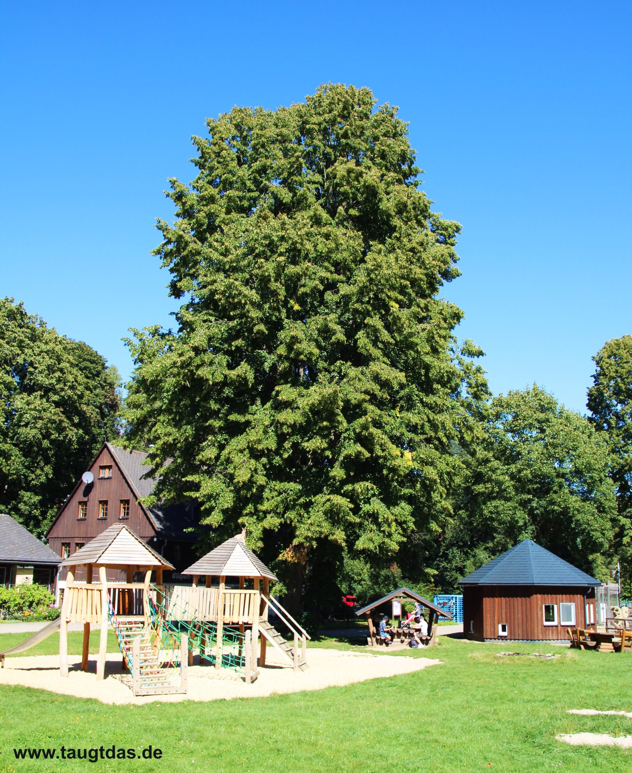 Spielplatz Wildpark